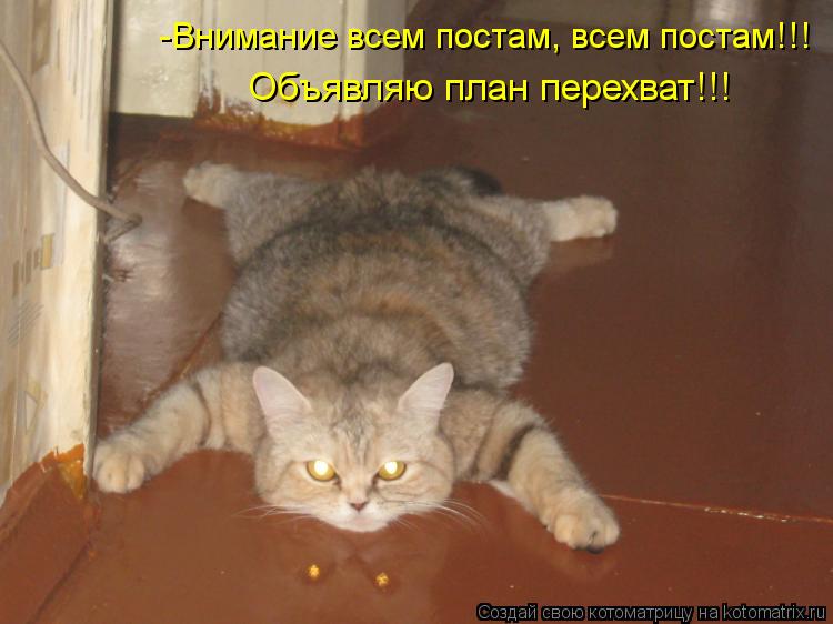 -Внимание всем постам, всем постам!!! Объявляю план перехват!!!... Котоматрица: -Внимание всем постам, всем постам!!! Объявляю план перехват!!!