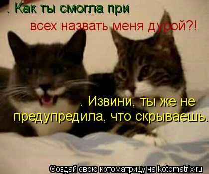 – Как ты смогла при всех назвать меня дурой?! – Извини, ты же не предупредила, что скрываешь.... Котоматрица: – Как ты смогла при всех назвать меня дурой?! – Извини, ты же не предупредила, что скрываешь.