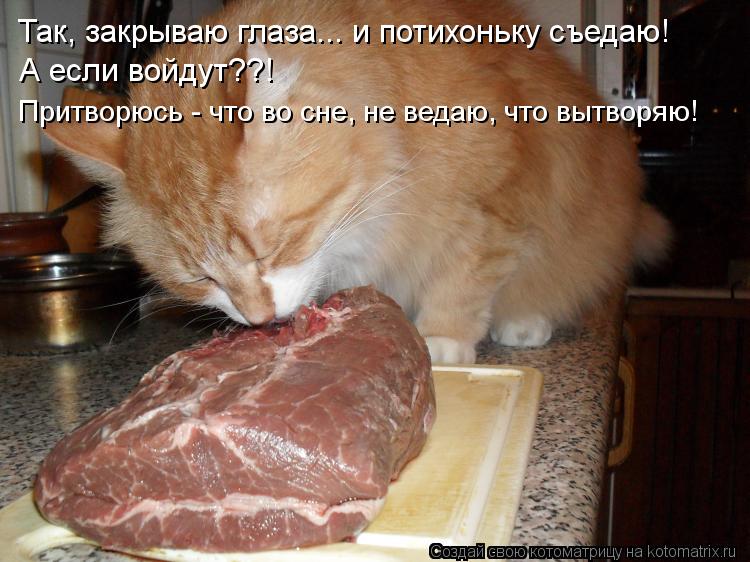 Котоматрица: Так, закрываю глаза... и потихоньку съедаю! А если войдут??! Притворюсь - что во сне, не ведаю, что вытворяю!