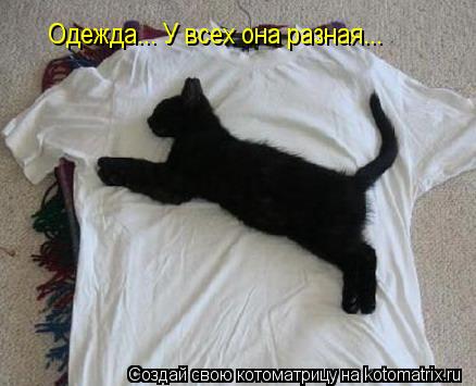 Котоматрица: Одежда... У всех она разная...