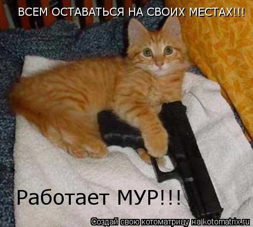 Котоматрица: ВСЕМ ОСТАВАТЬСЯ НА СВОИХ МЕСТАХ!!! Работает МУР!!!