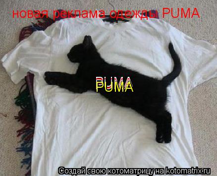 новая реклама одежды PUMA PUMA PUMA PUMA PUMA... Котоматрица: новая реклама одежды PUMA PUMA PUMA PUMA PUMA