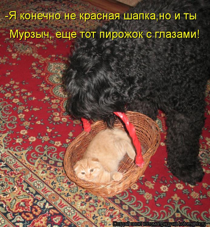 -Я конечно не красная шапка,но и ты Мурзыч, еще тот пирожок с глазами!... Котоматрица: -Я конечно не красная шапка,но и ты Мурзыч, еще тот пирожок с глазами!