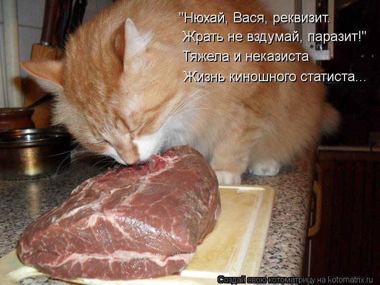 "Нюхай, Вася, реквизит. Жрать не вздумай, паразит!" Тяжела и неказиста Жизнь киношного статиста...... Котоматрица: "Нюхай, Вася, реквизит. Жрать не вздумай, паразит!" Тяжела и неказиста Жизнь киношного статиста...