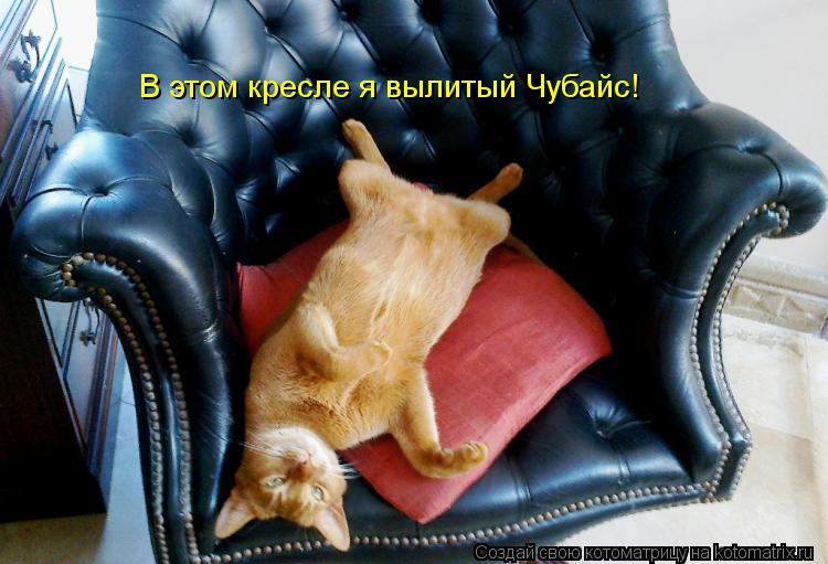 В этом кресле я вылитый Чубайс!... Котоматрица: В этом кресле я вылитый Чубайс!