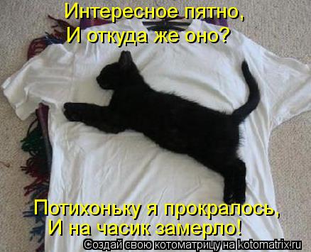 Интересное пятно, И откуда же оно? Потихоньку я прокралось, И на часик замерло!... Котоматрица: Интересное пятно, И откуда же оно? Потихоньку я прокралось, И на часик замерло!