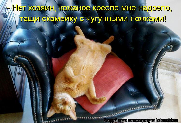 - Нет хозяин, кожаное кресло мне надоело, тащи скамейку с чугунными ножками!... Котоматрица: - Нет хозяин, кожаное кресло мне надоело, тащи скамейку с чугунными ножками!