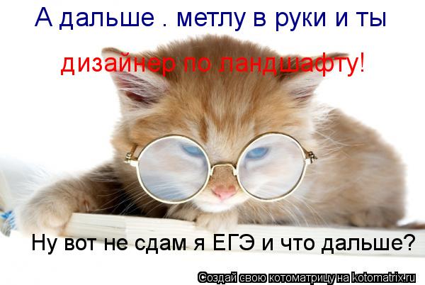 Ну вот не сдам я ЕГЭ и что дальше? дизайнер по ландшафту! А дальше – метлу в руки и ты... Котоматрица: Ну вот не сдам я ЕГЭ и что дальше? дизайнер по ландшафту! А дальше – метлу в руки и ты