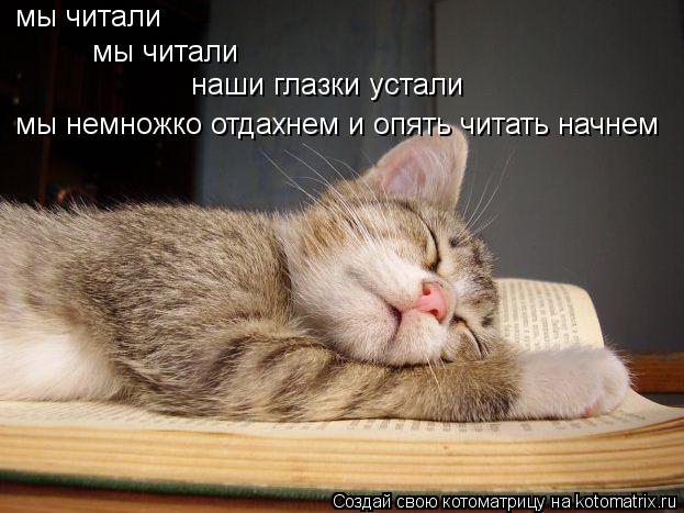 мы читали мы читали наши глазки устали мы немножко отдахнем и опять читать начнем... Котоматрица: мы читали мы читали наши глазки устали мы немножко отдахнем и опять читать начнем