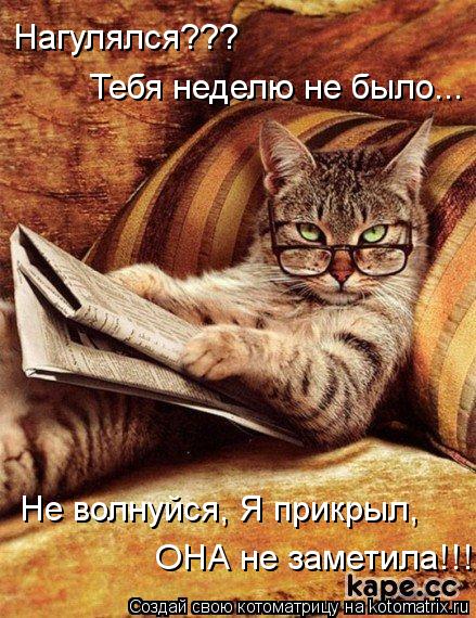 Нагулялся??? Тебя неделю не было... Не волнуйся, Я прикрыл, ОНА не заметила!!!... Котоматрица: Нагулялся??? Тебя неделю не было... Не волнуйся, Я прикрыл, ОНА не заметила!!!