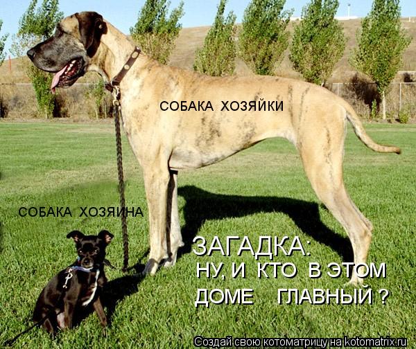 СОБАКА ХОЗЯЙКИ СОБАКА ХОЗЯИНА НУ, И КТО В ЭТОМ ЗАГАДКА: ДОМЕ ГЛАВНЫЙ ?... Котоматрица: СОБАКА ХОЗЯЙКИ СОБАКА ХОЗЯИНА НУ, И КТО В ЭТОМ ЗАГАДКА: ДОМЕ ГЛАВНЫЙ ?