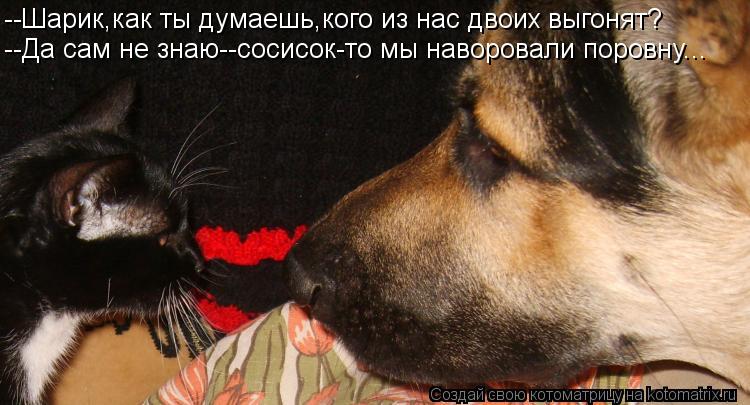 --Шарик,как ты думаешь,кого из нас двоих выгонят? --Да сам не знаю--сосисок-то мы наворовали поровну.... Котоматрица: --Шарик,как ты думаешь,кого из нас двоих выгонят? --Да сам не знаю--сосисок-то мы наворовали поровну...