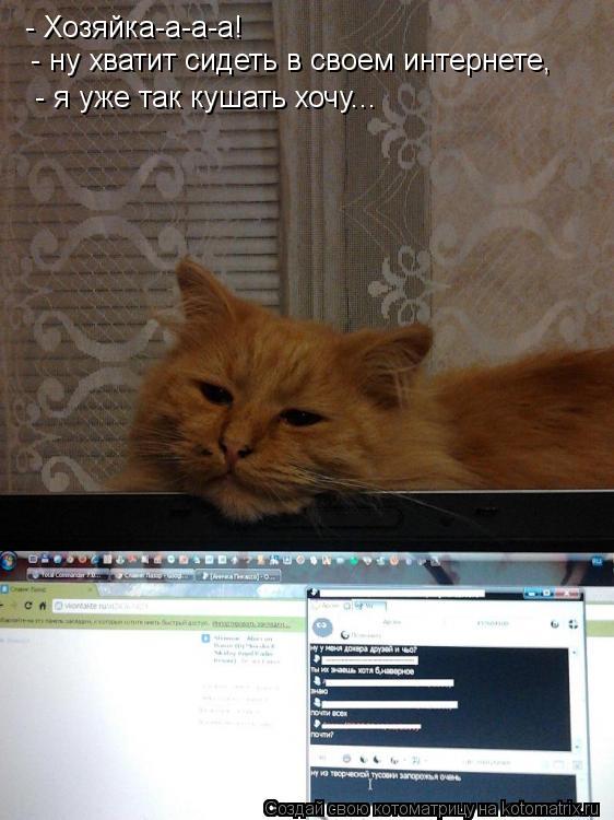 Котоматрица: - Хозяйка-а-а-а!  - ну хватит сидеть в своем интернете,  - я уже так кушать хочу...