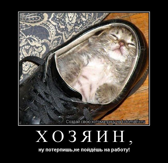 Хозяин, ну потерпишь,не пойдёшь на работу!... Котоматрица: Хозяин, ну потерпишь,не пойдёшь на работу!