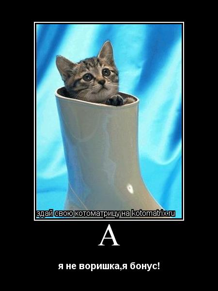 А я не воришка,я бонус!... Котоматрица: А я не воришка,я бонус!