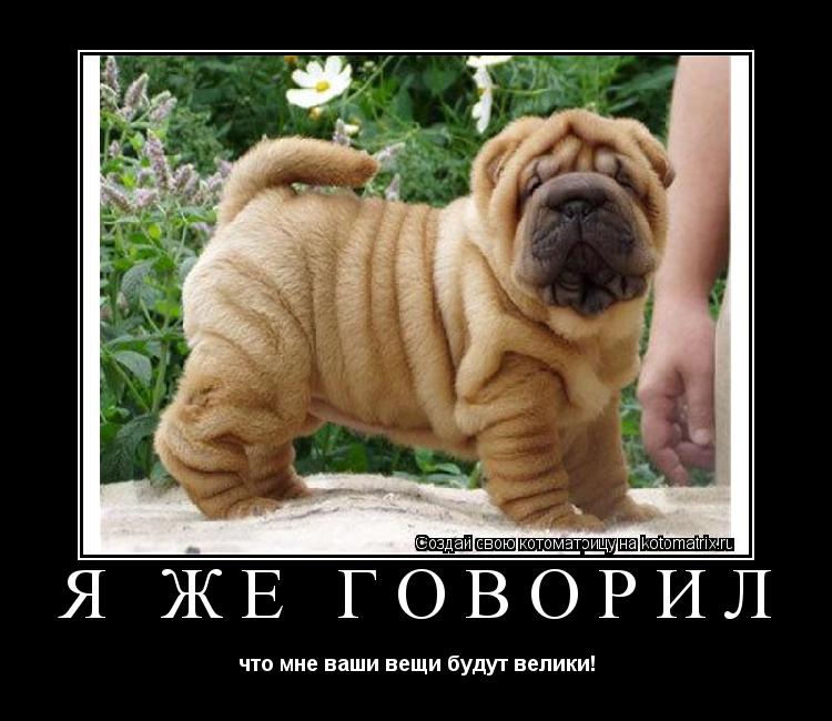 Я же говорил что мне ваши вещи будут велики!... Котоматрица: Я же говорил что мне ваши вещи будут велики!
