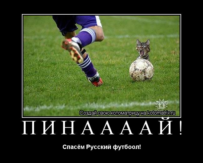 Котоматрица: Пинаааай! Спасём Русский футбоол!