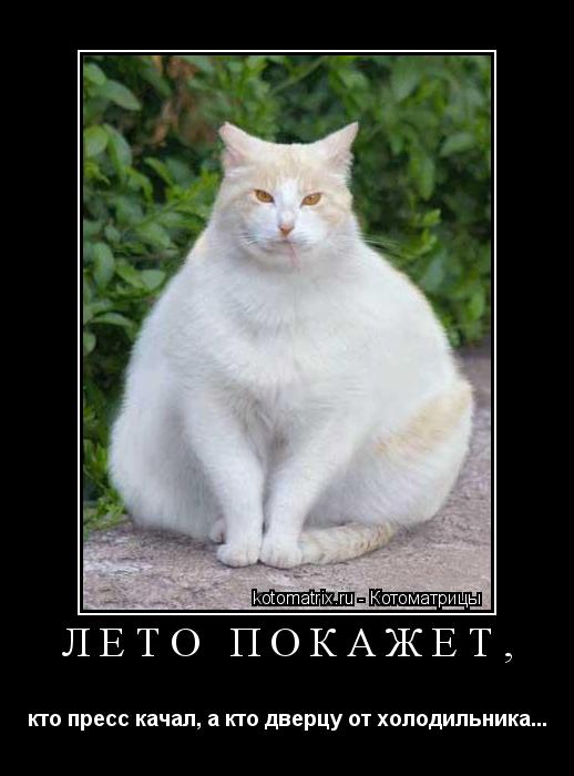ЛЕТО ПОКАЖЕТ, кто пресс качал, а кто дверцу от холодильника...... Котоматрица: ЛЕТО ПОКАЖЕТ, кто пресс качал, а кто дверцу от холодильника...