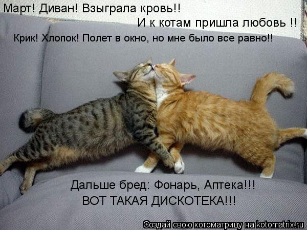 Март! Диван! Взыграла кровь!! И к котам пришла любовь !! Крик! Хлопок! Полет в окно, но мне было все ... Котоматрица: Март! Диван! Взыграла кровь!! И к котам пришла любовь !! Крик! Хлопок! Полет в окно, но мне было все равно!! Дальше бред: Фонарь, Аптека!!! ВОТ ТАКА