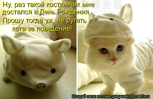 Ну, раз такой костюмчик мне достался в День Рождения Прошу тогда уж, не ругать кота за поведение!... Котоматрица: Ну, раз такой костюмчик мне достался в День Рождения Прошу тогда уж, не ругать кота за поведение!