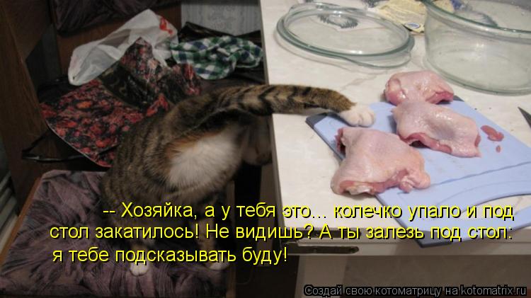 -- Хозяйка, а у тебя это... колечко упало и под стол закатилось! Не видишь? А ты залезь под стол: я т... Котоматрица: -- Хозяйка, а у тебя это... колечко упало и под стол закатилось! Не видишь? А ты залезь под стол: я тебе подсказывать буду!