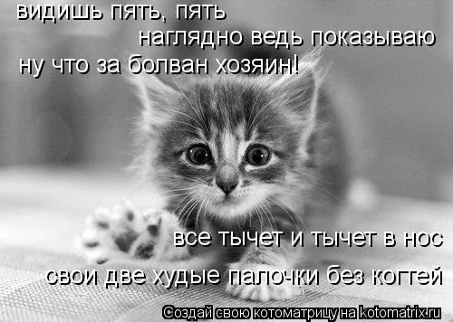видишь пять, пять наглядно ведь показываю ну что за болван хозяин! все тычет и тычет в нос свои две ... Котоматрица: видишь пять, пять наглядно ведь показываю ну что за болван хозяин! все тычет и тычет в нос свои две худые палочки без когтей