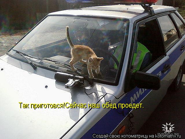 Так приготовся!Сейчас наш обед проедет.... Котоматрица: Так приготовся!Сейчас наш обед проедет.