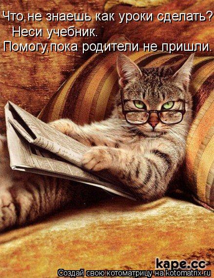 Что,не знаешь как уроки сделать? Неси учебник. Помогу,пока родители не пришли.... Котоматрица: Что,не знаешь как уроки сделать? Неси учебник. Помогу,пока родители не пришли.