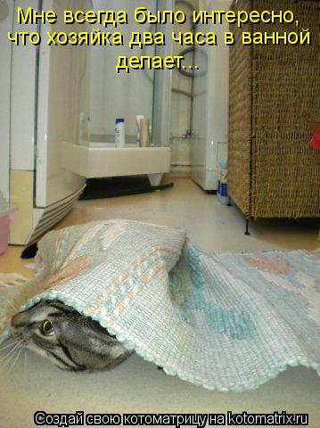 Мне всегда было интересно, что хозяйка два часа в ванной делает...... Котоматрица: Мне всегда было интересно, что хозяйка два часа в ванной делает...