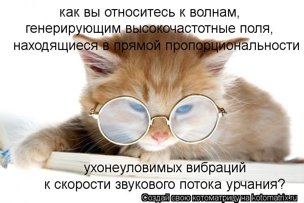 к скорости звукового потока урчания? как вы относитесь к волнам, находящиеся в прямой пропорционально... Котоматрица: к скорости звукового потока урчания? как вы относитесь к волнам, находящиеся в прямой пропорциональности генерирующим высокочастотные по