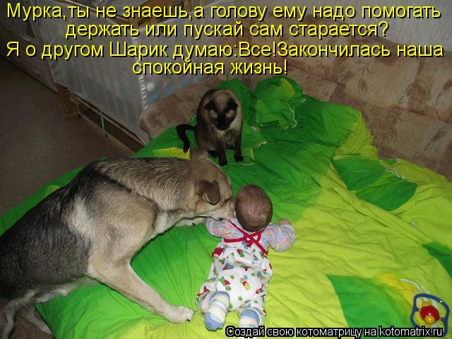 Мурка,ты не знаешь,а голову ему надо помогать держать или пускай сам старается? Я о другом Шарик дума... Котоматрица: Мурка,ты не знаешь,а голову ему надо помогать держать или пускай сам старается? Я о другом Шарик думаю:Все!Закончилась наша спокойная жизнь