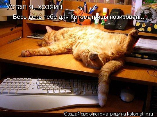 Устал я, хозяин. Весь день тебе для Котоматрицы позировал...... Котоматрица: Устал я, хозяин. Весь день тебе для Котоматрицы позировал...