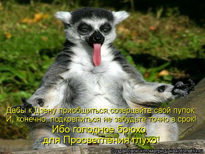 Котоматрица: Дабы к Дзену приобщиться,созерцайте свой пупок, И, конечно, подкрепиться не забудьте точно в срок! Ибо голодное брюхо  для Просветления глух