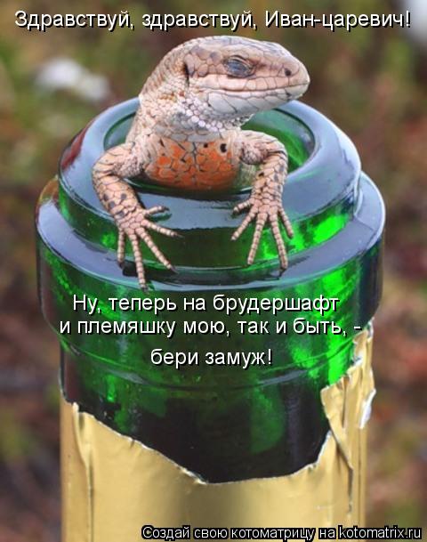 Здравствуй, здравствуй, Иван-царевич! Ну, теперь на брудершафт и племяшку мою, так и быть, - бери зам... Котоматрица: Здравствуй, здравствуй, Иван-царевич! Ну, теперь на брудершафт и племяшку мою, так и быть, - бери замуж!