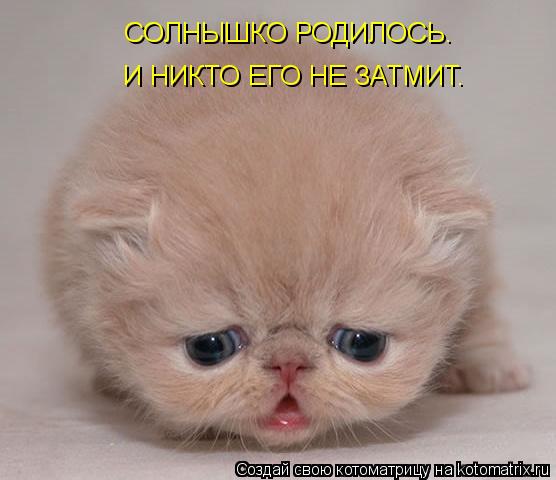 Котоматрица: СОЛНЫШКО РОДИЛОСЬ. И НИКТО ЕГО НЕ ЗАТМИТ.