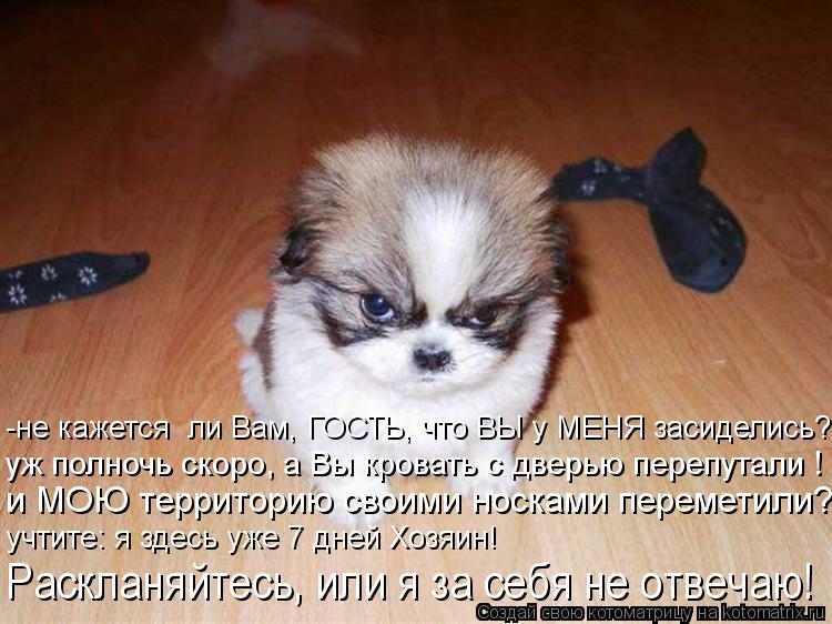 Котоматрица: -не кажется  ли Вам, ГОСТЬ, что ВЫ у МЕНЯ засиделись?  уж полночь скоро, а Вы кровать с дверью перепутали ! и МОЮ территорию своими носками пере