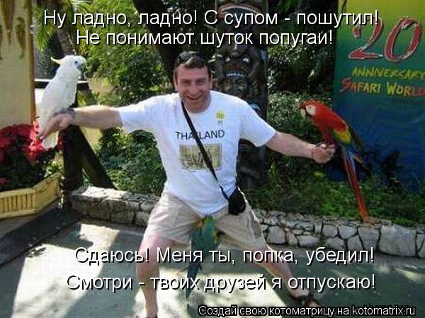 Котоматрица: Ну ладно, ладно! С супом - пошутил!    Не понимают шуток попугаи!    Сдаюсь! Меня ты, попка, убедил!    Смотри - твоих друзей я отпускаю!