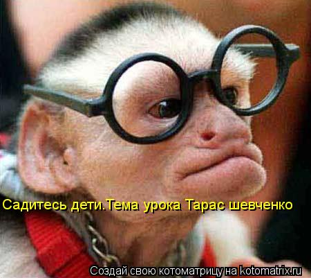 Котоматрица: Садитесь дети.Тема урока Тарас шевченко