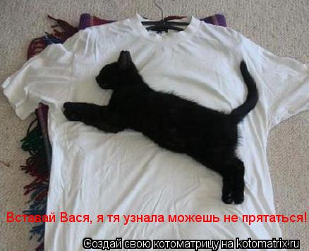 Котоматрица: Вставай Вася, я тя узнала можешь не прятаться!