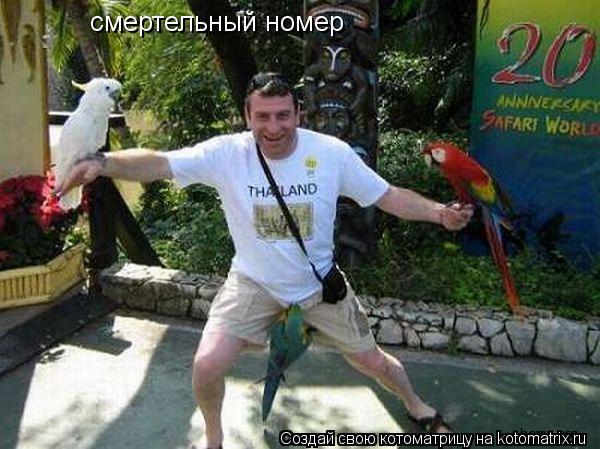 Котоматрица: смертельный номер