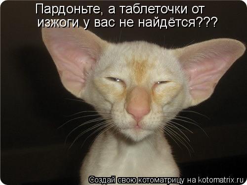 Котоматрица: Пардоньте, а таблеточки от изжоги у вас не найдётся???