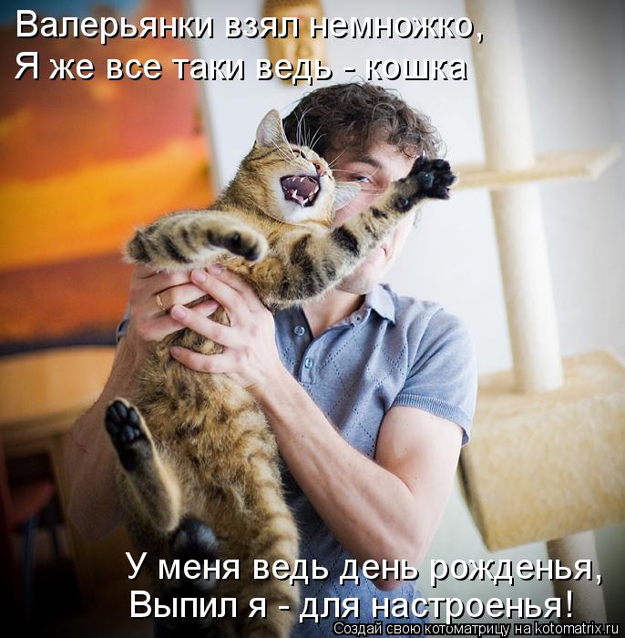Котоматрица: Валерьянки взял немножко, Я же все таки ведь - кошка У меня ведь день рожденья, Выпил я - для настроенья!