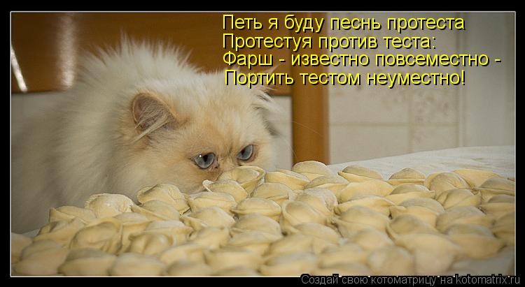 Петь я буду песнь протеста Протестуя против теста: Фарш - известно повсеместно - Портить тестом неуме... Котоматрица: Петь я буду песнь протеста Протестуя против теста: Фарш - известно повсеместно - Портить тестом неуместно!