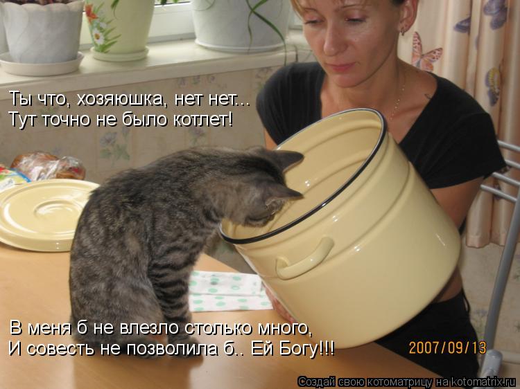 Котоматрица: Ты что, хозяюшка, нет нет... Тут точно не было котлет! В меня б не влезло столько много, И совесть не позволила б.. Ей Богу!!!