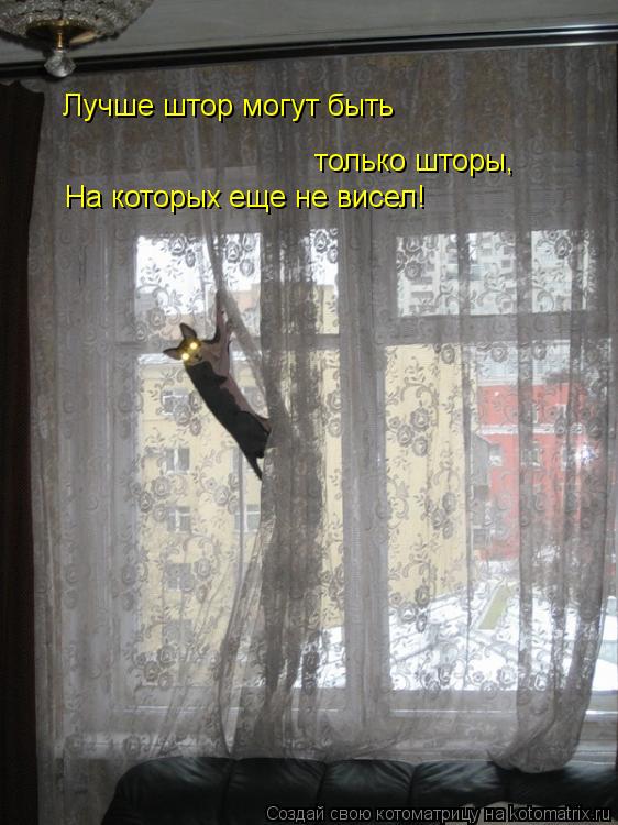Котоматрица: Лучше штор могут быть только шторы, На которых еще не висел!