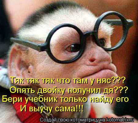Котоматрица: Тяк тяк тяк что там у няс??? Опять двойку получил дя??? Бери учебник только найду его И выучу сама!!!