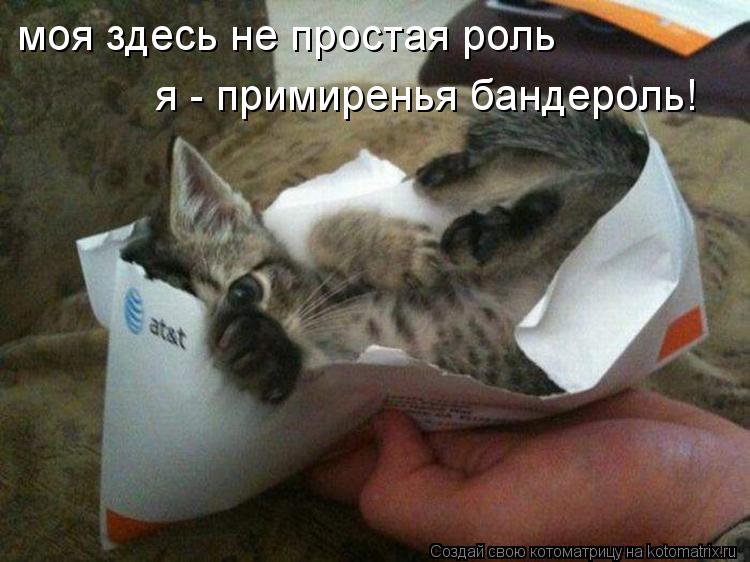 Котоматрица: моя здесь не простая роль я - примиренья бандероль!