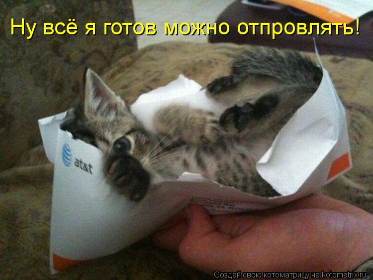Котоматрица: Ну всё я готов можно отпровлять!