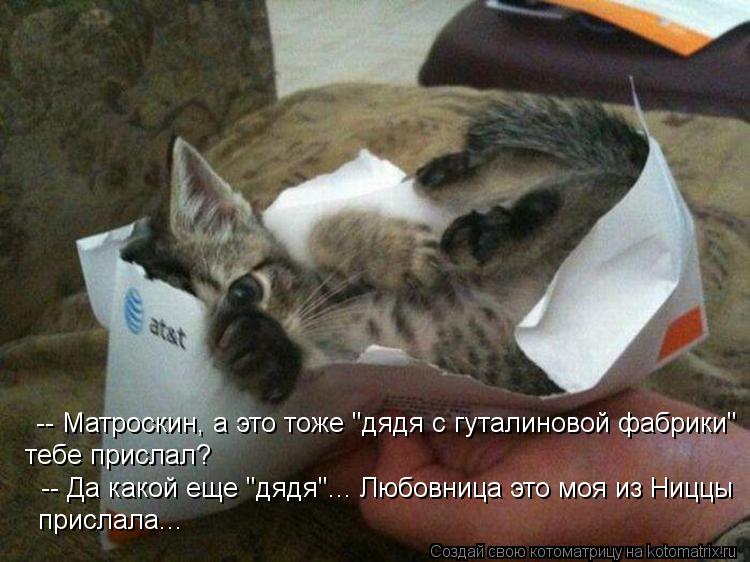 Котоматрица: -- Матроскин, а это тоже "дядя с гуталиновой фабрики" тебе прислал? -- Да какой еще "дядя"... Любовница это моя из Ниццы прислала...