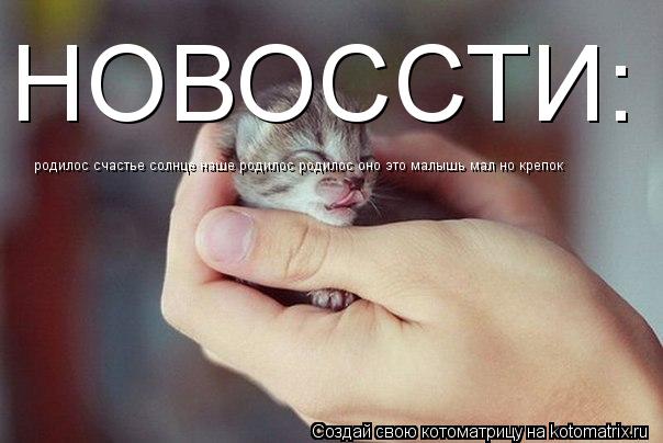 Котоматрица: НОВОССТИ: родилос счастье солнце наше родилос родилос оно это малышь мал но крепок